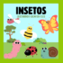 INSETOS- Descobrindo quem são eles